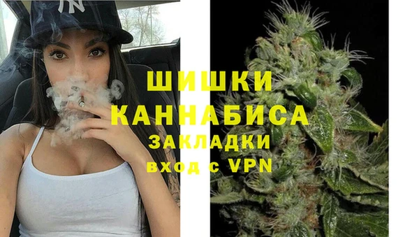 винт Новозыбков