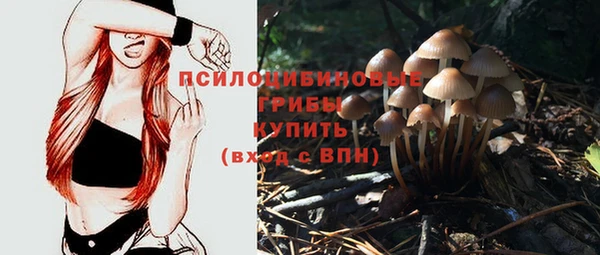 Альфа ПВП Арсеньев